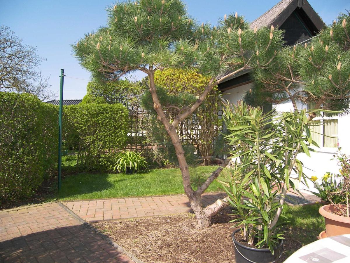 Urlaub Bei Schuenemanns Apartment Ulrichshorst Екстериор снимка